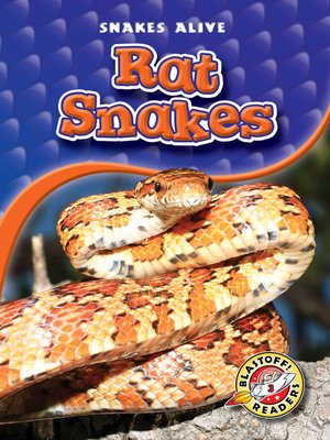 cover image of Rat Snakes